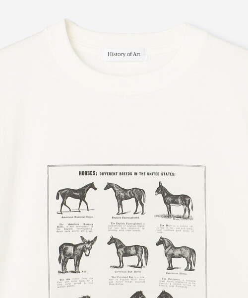 Bshop（ビショップ）の「History of Art | プリントTシャツ HORSE WOMEN（Tシャツ/カットソー・レディース・ホワイト系その他・S）」の3枚目の写真