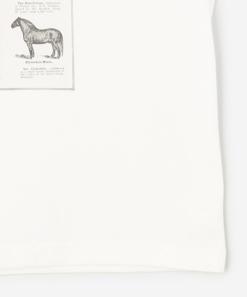 Bshop（ビショップ）の「History of Art | プリントTシャツ HORSE WOMEN（Tシャツ/カットソー・レディース・ホワイト系その他・S）」の5枚目の写真
