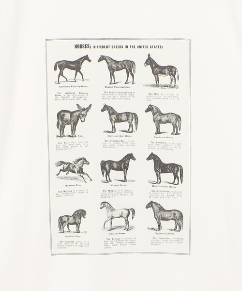 Bshop（ビショップ）の「History of Art | プリントTシャツ