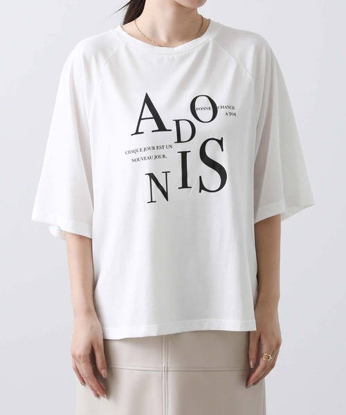 Gready Brilliant（グレディブリリアン）の「ＡＤＯＮＩＳラグラン７分カットソー（Tシャツ/カットソー・レディース・チャコールグレー/オフホワイト/グレイッシュベージュ・38）」の14枚目の写真