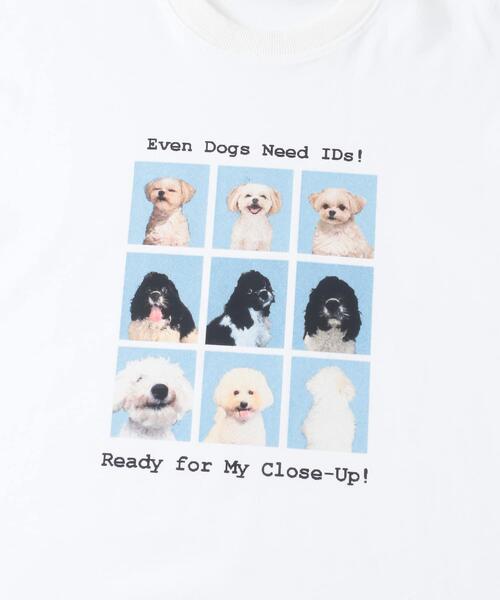 SENSE OF PLACE by URBAN RESEARCH（センスオブプレイスバイアーバンリサーチ）の「『ユニセックス』Dog graphic Short-Sleeve T-shirts（Tシャツ/カットソー・メンズ・グレー/ホワイト/ネイビー・MEDIUM/LARGE）」の19枚目の写真