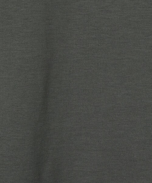 SUNSPEL(サンスペル)の「SUNSPEL コットン クルーネックTシャツ(Tシャツ/カットソー・メンズ・チャコールグレー/ホワイト/ネイビー/パープル/ブラック/グリーン/ブルー/イエロー/ピンク・M/L/S)」の15枚目の写真