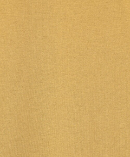 SUNSPEL(サンスペル)の「SUNSPEL コットン クルーネックTシャツ(Tシャツ/カットソー・メンズ・チャコールグレー/ホワイト/ネイビー/パープル/ブラック/グリーン/ブルー/イエロー/ピンク・M/L/S)」の16枚目の写真