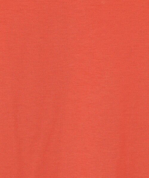 SUNSPEL(サンスペル)の「SUNSPEL コットン クルーネックTシャツ(Tシャツ/カットソー・メンズ・チャコールグレー/ホワイト/ネイビー/パープル/ブラック/グリーン/ブルー/イエロー/ピンク・M/L/S)」の17枚目の写真