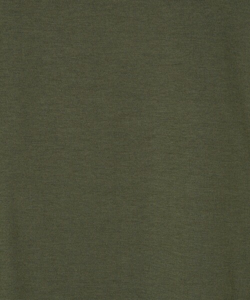 SUNSPEL(サンスペル)の「SUNSPEL コットン クルーネックTシャツ(Tシャツ/カットソー・メンズ・チャコールグレー/ホワイト/ネイビー/パープル/ブラック/グリーン/ブルー/イエロー/ピンク・M/L/S)」の18枚目の写真