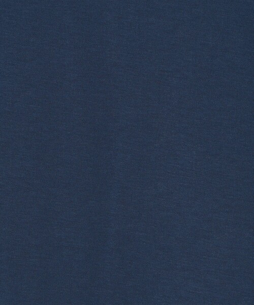 SUNSPEL(サンスペル)の「SUNSPEL コットン クルーネックTシャツ(Tシャツ/カットソー・メンズ・チャコールグレー/ホワイト/ネイビー/パープル/ブラック/グリーン/ブルー/イエロー/ピンク・M/L/S)」の19枚目の写真