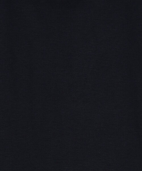 SUNSPEL(サンスペル)の「SUNSPEL コットン クルーネックTシャツ(Tシャツ/カットソー・メンズ・チャコールグレー/ホワイト/ネイビー/パープル/ブラック/グリーン/ブルー/イエロー/ピンク・M/L/S)」の20枚目の写真