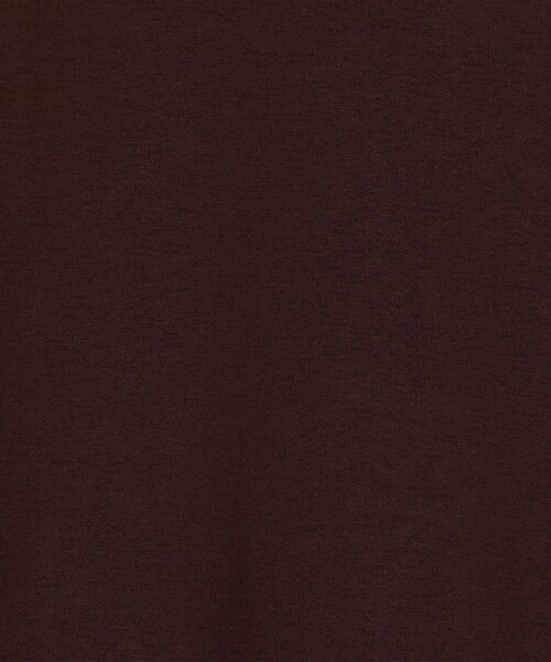 SUNSPEL(サンスペル)の「SUNSPEL コットン クルーネックTシャツ(Tシャツ/カットソー・メンズ・チャコールグレー/ホワイト/ネイビー/パープル/ブラック/グリーン/ブルー/イエロー/ピンク・M/L/S)」の21枚目の写真