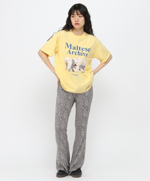 3.3 Field Trip （3.3フィールドトリップ）の「3.3 Field Trip／レオパードカットパンツ（その他パンツ・レディース・ライトグレー/ベージュ・FREE）」の22枚目の写真