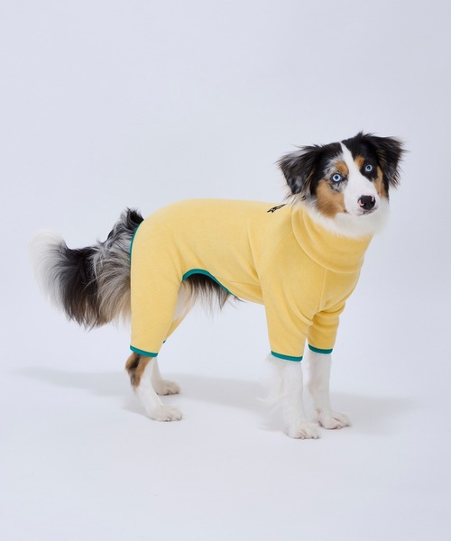 フレームロゴボアスーツ/M/MD/L小型犬（ペットウェア）｜MANDARINE