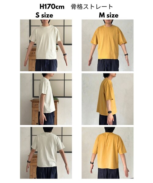 SCREEN STARS(スクリーンスターズ)の「ベーシックカラーピグメントT(Tシャツ/カットソー・メンズ・ブラック/レッド/ブラウン/ホワイト/イエロー/ネイビー・LARGE/X-LARGE/SMALL/MEDIUM)」の15枚目の写真
