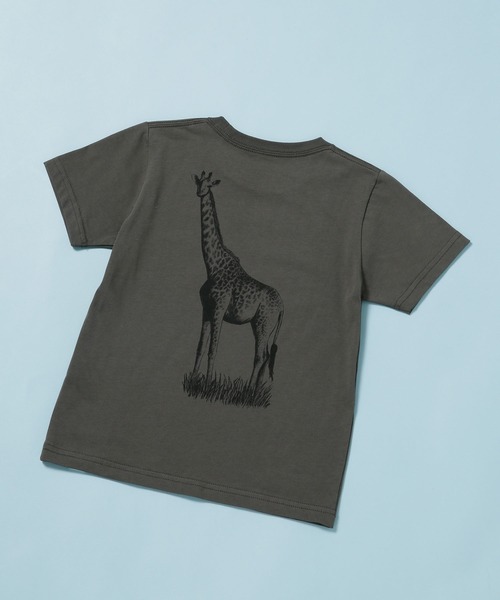 NANO universe（ナノユニバース）の「《WEB限定》WWF ANIMAL Tシャツ 半袖 2（Tシャツ/カットソー・キッズ・ライトカーキ/ホワイト/ライトベージュ/スミクロ・120/110/100）」の6枚目の写真