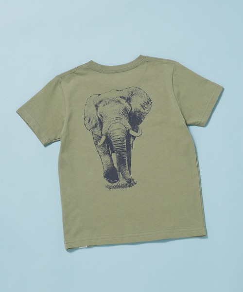 NANO universe（ナノユニバース）の「《WEB限定》WWF ANIMAL Tシャツ 半袖 2（Tシャツ/カットソー・キッズ・ライトカーキ/ホワイト/ライトベージュ/スミクロ・120/110/100）」の8枚目の写真