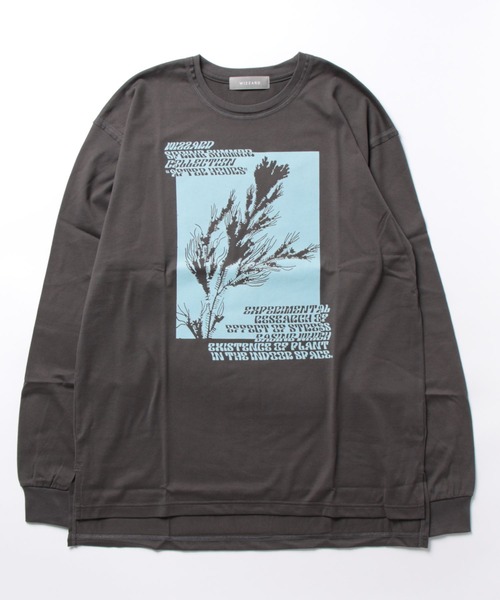 Wizzard(ウィザード)の「Wizzard ウィザード / GRAPHIC LONG SLEEVE T-SHIRT "PLANT" ギザ天竺コットングラフィックプリントロンT(Tシャツ/カットソー・メンズ・ブラック/チャコールグレー/ホワイト/ラベンダー・1/2/3)」の5枚目の写真