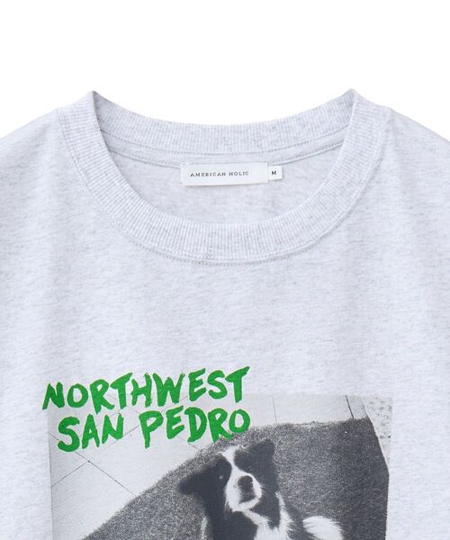 AMERICAN HOLIC(アメリカンホリック)の「Dog フォトプリントTシャツ(Tシャツ/カットソー・レディース・ブラック/オフホワイト/杢グレー・M/L)」の21枚目の写真