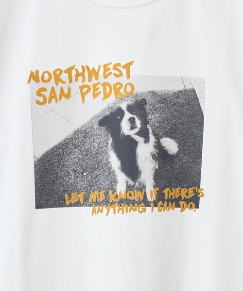 00's THE DOG/ドッグ GILDANボディ プリント Tシャツ 00's THE DOG/ドッグ GILDANボディ プリント Tシャツ - メルカリ