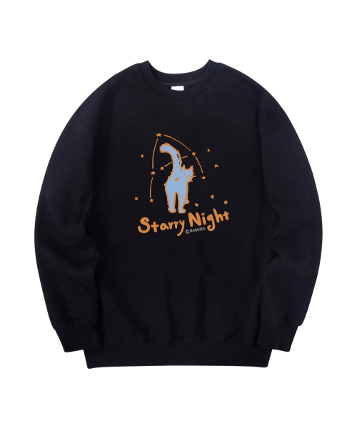 RADINEO(ラディネオ)の「スタリーナイト スウェット ブラック(スウェット・メンズ・その他・MEDIUM/LARGE/X-LARGE)」の1枚目の写真