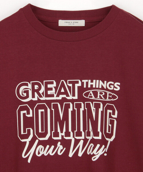 FREAK'S STORE(フリークスストア)の「メッセージ ロゴTシャツ(Great Things)/グレイトティングス Tシャツ(Tシャツ/カットソー・レディース・ワインレッド/グリーン/ネイビー・フリ-)」の11枚目の写真