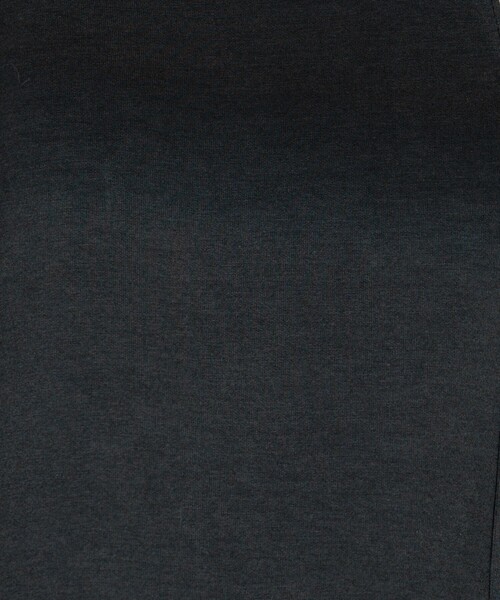 FREAK'S STORE(フリークスストア)の「ポンチ Vネックショートスウェット(スウェット・レディース・ブルー/チャコール・フリ-)」の10枚目の写真