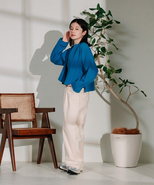 Vネックショートスウェットトップス GRY ジェイダ GYDA スリーブライン Vネックショートニットトップス