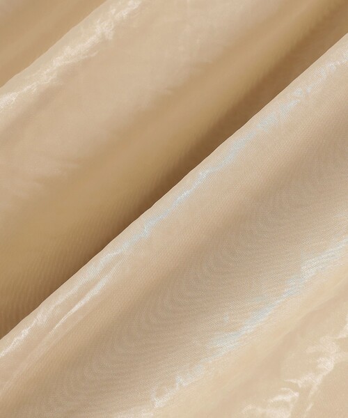 Ray BEAMS（レイビームス）の「シアー ティアード スカート（スカート・レディース・ベージュ/ブラック・1/0）」の4枚目の写真