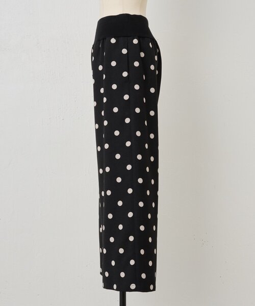 BEARDSLEY（ビアズリー）の「《追加検討中》ドットプリントパンツ（その他パンツ・レディース・ブラック・1/0/2）」の19枚目の写真