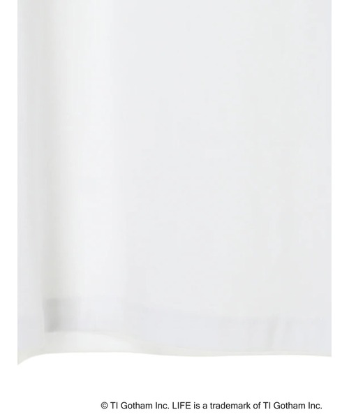 earth music&ecology(アースミュージックアンドエコロジー)の「【WEB限定】LIFE PHOTO Tシャツ *(Tシャツ/カットソー・レディース・オフホワイト・M/L)」の12枚目の写真