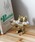 HIGHTIDE�i�n�C�^�C�h�j�́uHERE by DETAIL �q�A �o�C �f�B�e�[�� Squirrel & Nuts �X�N�E�H�[����&�i�b�c�i�C���e���A�G�݁j�v�b�S�[���h