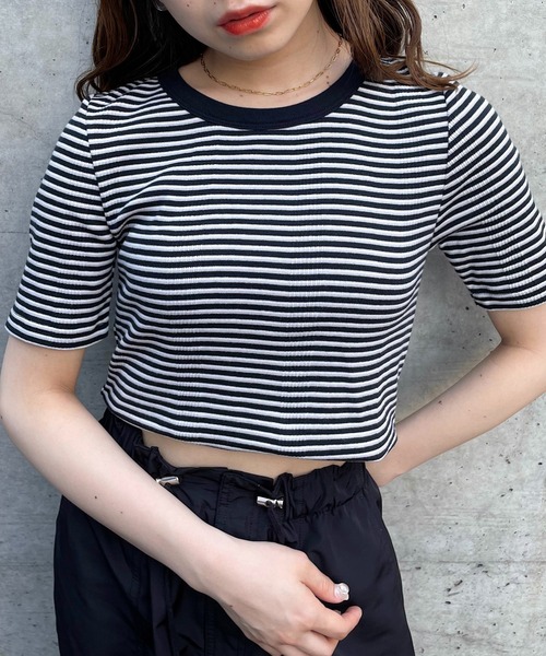 Chico（チコ）の「マルチボーダー配色チビT（Tシャツ/カットソー・レディース・ホワイト/ブラック/ピンク/ミント・FREE）」の2枚目の写真