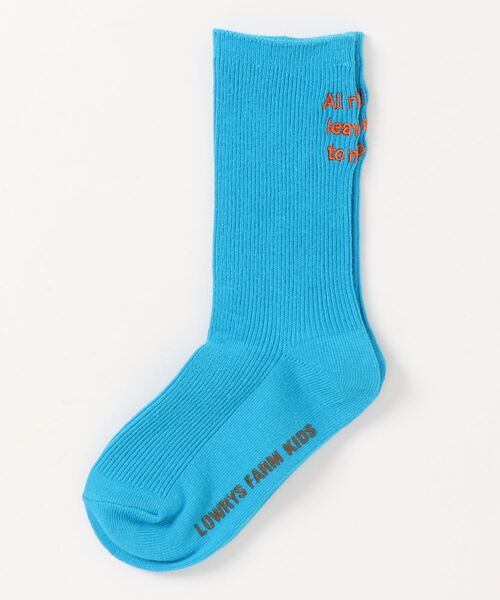 LOWRYS FARM（ローリーズファーム）の「カラーロゴソックス　124838（ソックス/靴下・キッズ・ホワイト/ブラック/ピンク/ブルー/グリーン・MEDIUM/LARGE）」の4枚目の写真
