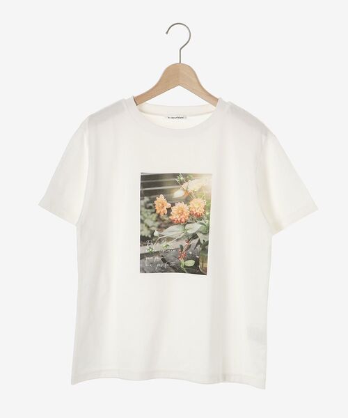 le.coeur blanc（ルクールブラン）の「カラーフォトTシャツ（Tシャツ/カットソー・レディース・A/B・38）」の3枚目の写真