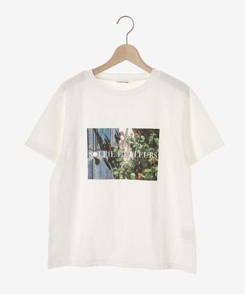 le.coeur blanc（ルクールブラン）の「カラーフォトTシャツ（Tシャツ/カットソー・レディース・A/B・38）」の11枚目の写真
