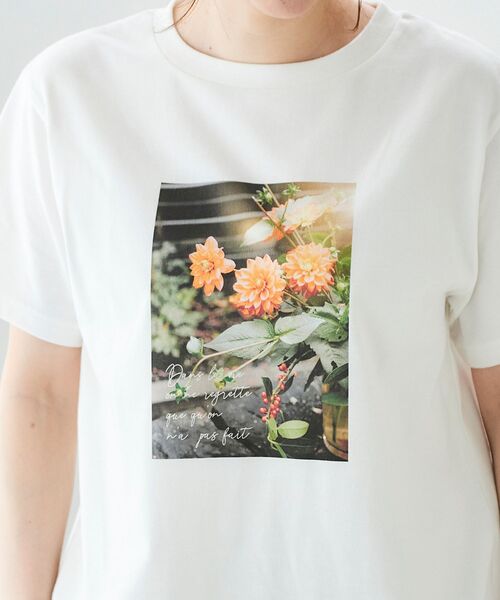 le.coeur blanc（ルクールブラン）の「カラーフォトTシャツ（Tシャツ/カットソー・レディース・A/B・38）」の20枚目の写真