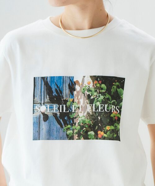 le.coeur blanc（ルクールブラン）の「カラーフォトTシャツ（Tシャツ/カットソー・レディース・A/B・38）」の21枚目の写真