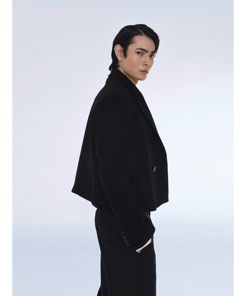 THE BALLON（ザバロン）の「DOUBLE BREASTED CROPPED WOOL COAT（チェスターコート・メンズ・その他・MEDIUM/LARGE）」の2枚目の写真