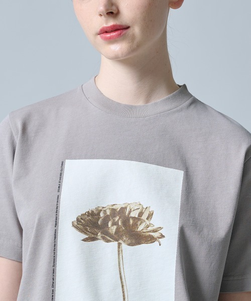 DOUBLE STANDARD CLOTHING(ダブルスタンダードクロージング)の「ヴィンテージレアルツイストプリントTシャツ(Tシャツ/カットソー・レディース・ベージュ・FREE)」の6枚目の写真