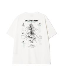 MANASTASH/マナスタッシュ/HEMP TEE TGP