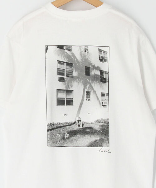 NOLLEY’S(ノーリーズ)の「Artist Tシャツ(Tシャツ/カットソー・レディース・ホワイト系その他4/ブルー系その他3/ピンク系その他3・FREE)」の14枚目の写真