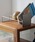 HIGHTIDEinC^Chj́uHERE by DETAIL Slope Book End X[vubNGh {āi[ObYjvbVo[