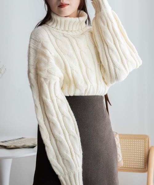 WEGO(ウィゴー)の「WEGO/ケーブルタートルニット(ニット/セーター・レディース・ブラック/アイボリー/パープル・FREE)」の5枚目の写真