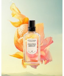 L'OCCITANE(NV^)̃IX}TXAuR[IX}TX] I[hg 50mL ؍()
