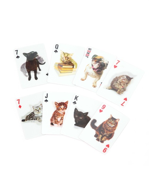studio CLIP（スタディオクリップ）の「KIKKERLANDキャットカードカード（おもちゃ・レディース・その他1・FREE）」の5枚目の写真