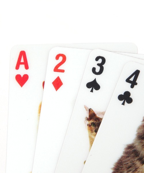 studio CLIP（スタディオクリップ）の「KIKKERLANDキャットカードカード（おもちゃ・レディース・その他1・FREE）」の6枚目の写真
