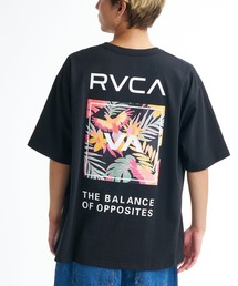 RVCA（ルーカ）の「RVCA メンズ PARADAISE BOX SS Tシャツ 【2026年春夏モデル】（Tシャツ/カットソー）」