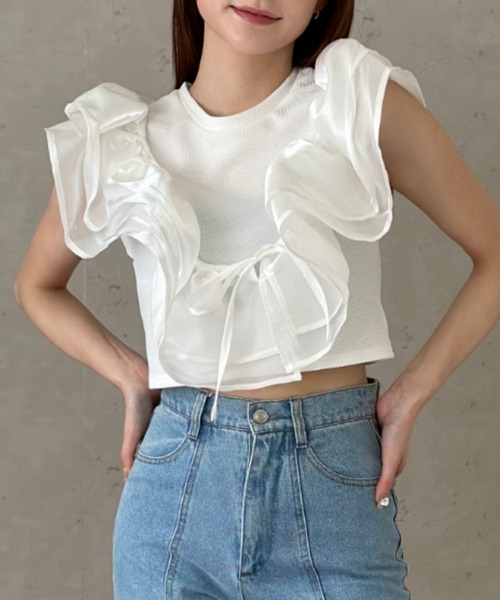 Per sist ence(パーシエンス)の「ラメオーガンジーサッシュ(Tシャツ/カットソー・レディース・オフホワイト/グレー/ブラック・FREE)」の12枚目の写真