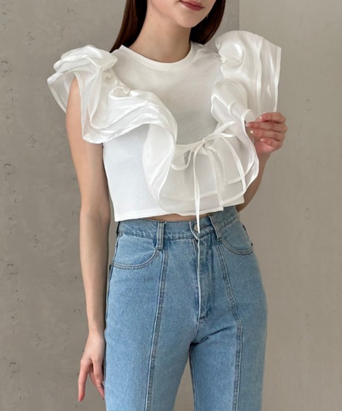 Per sist ence(パーシエンス)の「ラメオーガンジーサッシュ(Tシャツ/カットソー・レディース・オフホワイト/グレー/ブラック・FREE)」の11枚目の写真