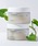 NEOGEN�i�l�I�[���j�́uNEOGEN ���A�� �h�N�_�~ �X�[�W���O �f�C���[�}�X�N (40������)�i�p�b�N/�t�F�C�X�}�X�N�j�v�b���̑�