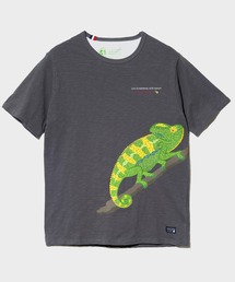 go slow caravan | ESPACE VERT/エスパスヴェール カメレオン S/S TEE(Tシャツ/カットソー)