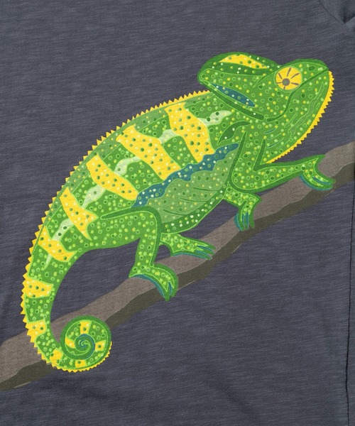 go slow caravan(ゴースローキャラバン)の「ESPACE VERT/エスパスヴェール カメレオン S/S TEE(Tシャツ/カットソー・メンズ・ナチュラル/チャコールグレー・MEDIUM/LARGE/X-LARGE)」の5枚目の写真