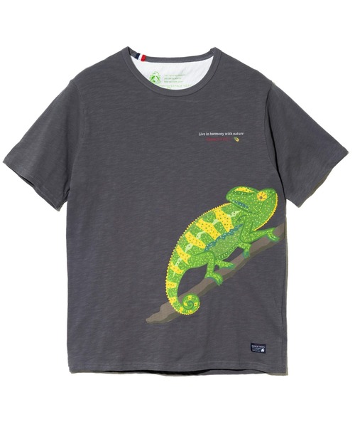 go slow caravan(ゴースローキャラバン)の「ESPACE VERT/エスパスヴェール カメレオン S/S TEE(Tシャツ/カットソー・メンズ・ナチュラル/チャコールグレー・MEDIUM/LARGE/X-LARGE)」の9枚目の写真